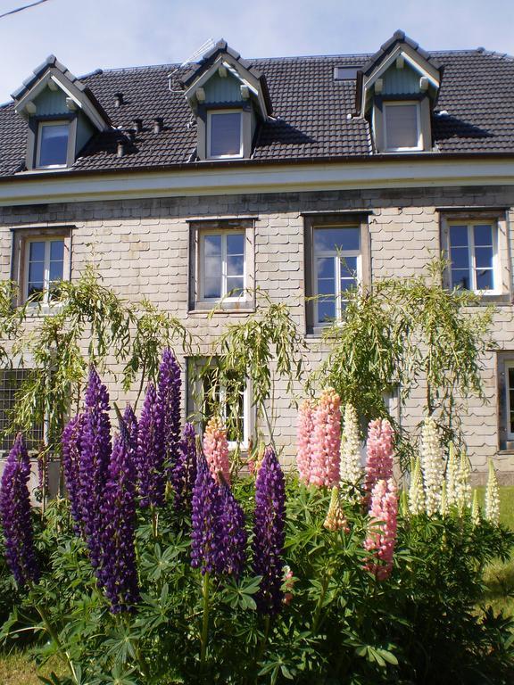 Chambres D'Hotes Le Clos Des Lesses Fresse-sur-Moselle Exterior photo